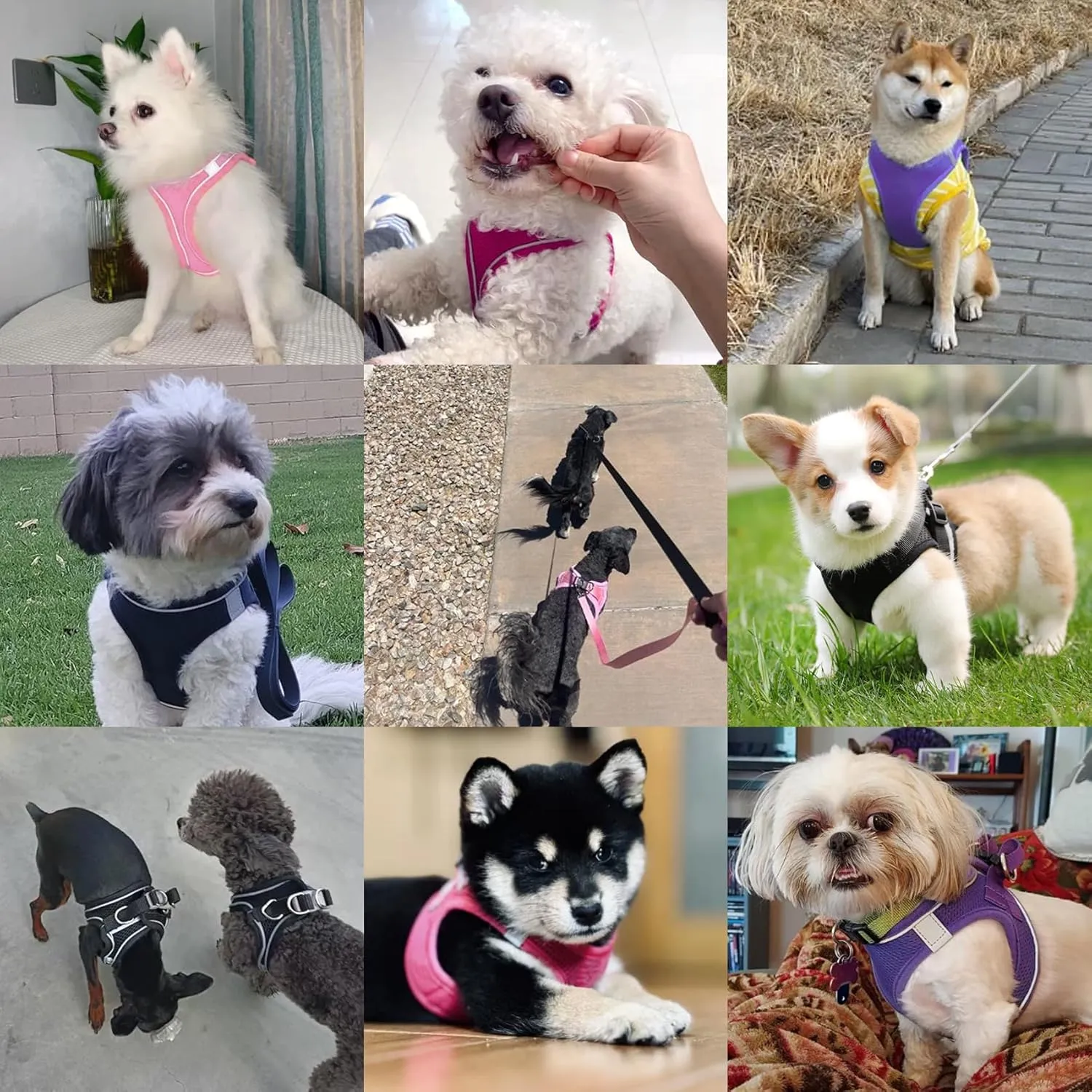 Dog Harness with Leash Set, No-Pull Step-in Reflective Pet Harness with 1 Leash Clips, Adjustable Soft Padded Easy Walk Dog Vest for Small Medium Large Dogs, Cats(Light Pink, Large)